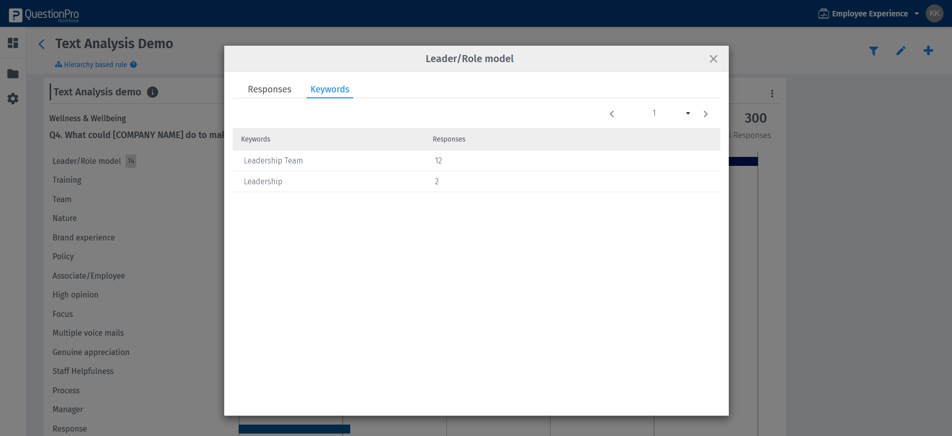 Survey Software Help Image