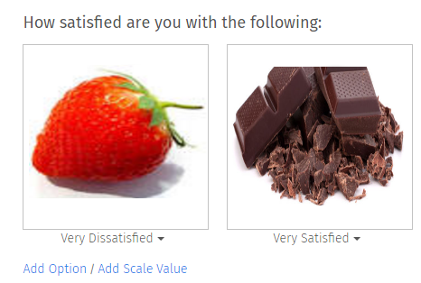 Survey Software Help Image