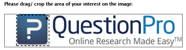 Survey Software Help Image
