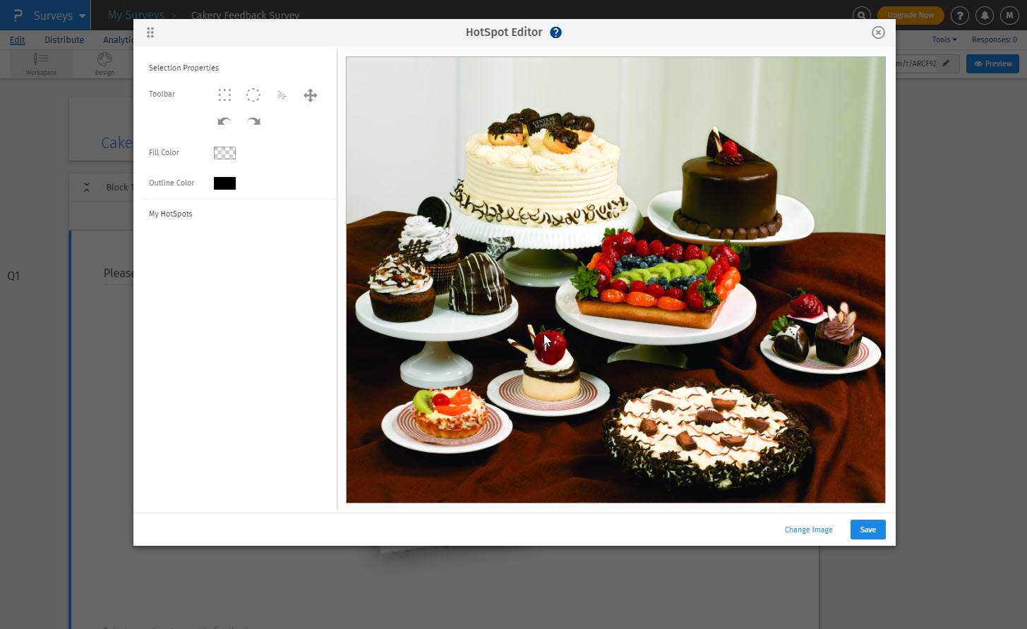 Survey Software Help Image