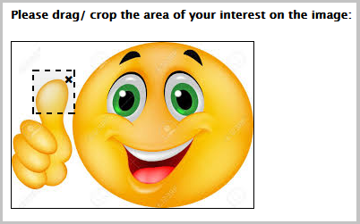 Survey Software Help Image