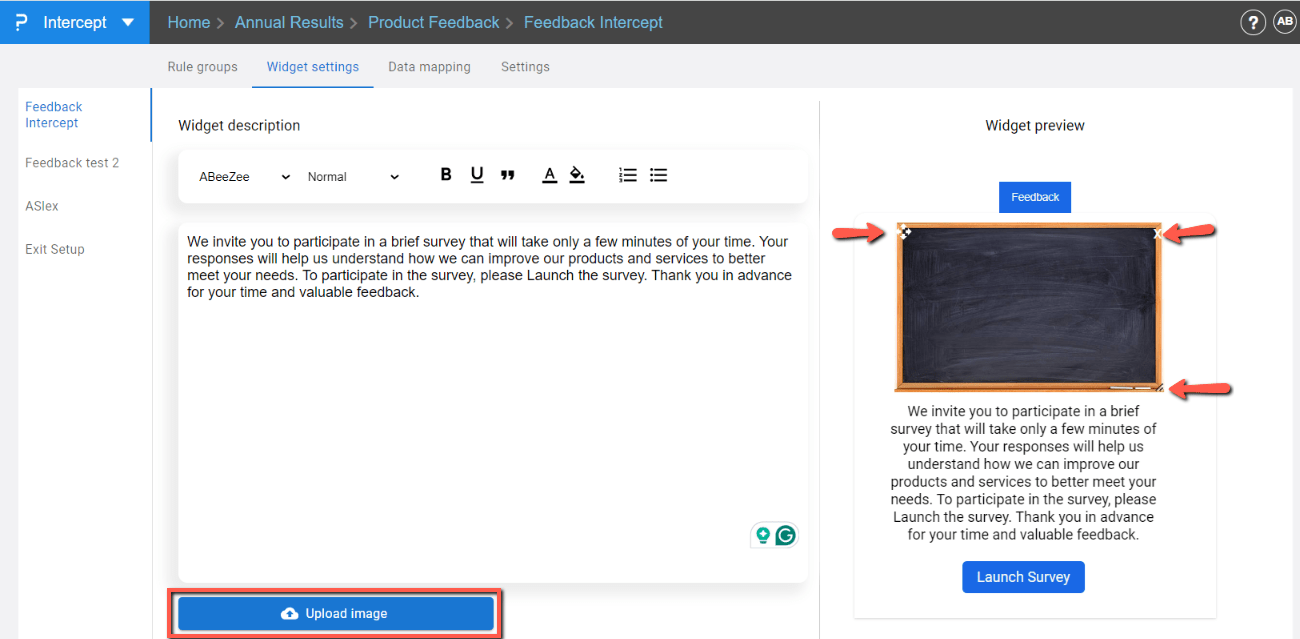 Survey Software Help Image