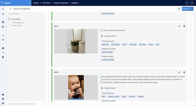 Survey Software Help Image