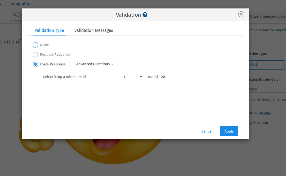 Survey Software Help Image