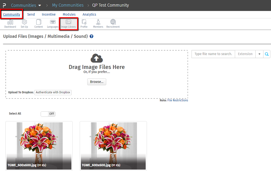 Survey Software Help Image