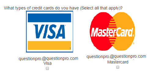 Survey Software Help Image