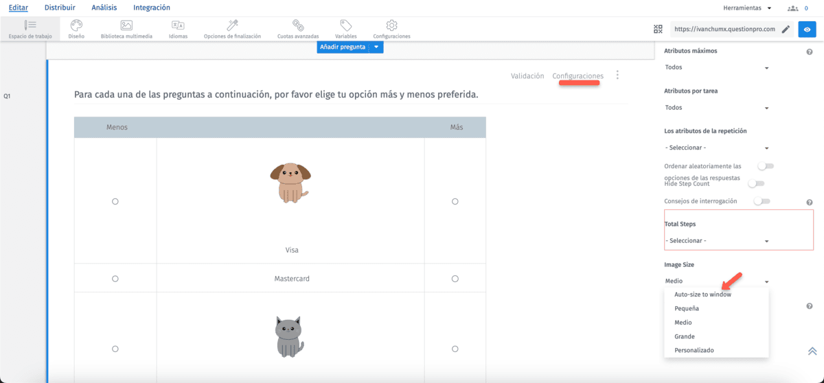 Survey Software Help Image