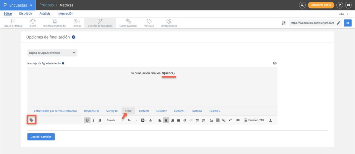Survey Software Help Image