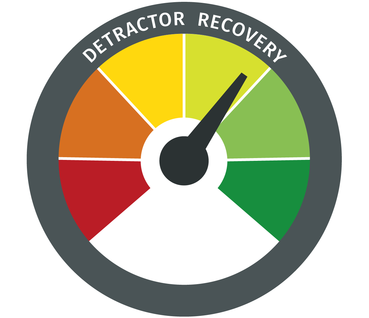 Detractor-Recovery