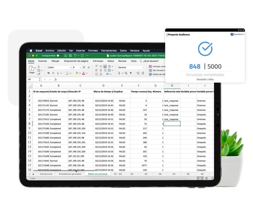 codificación de preguntas abiertas