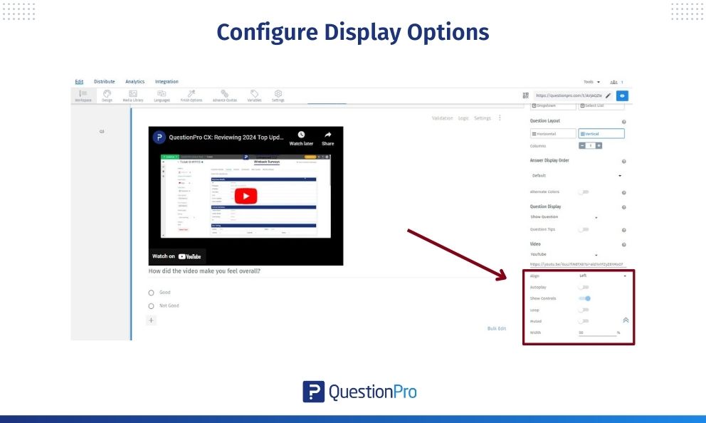 configure-display-options