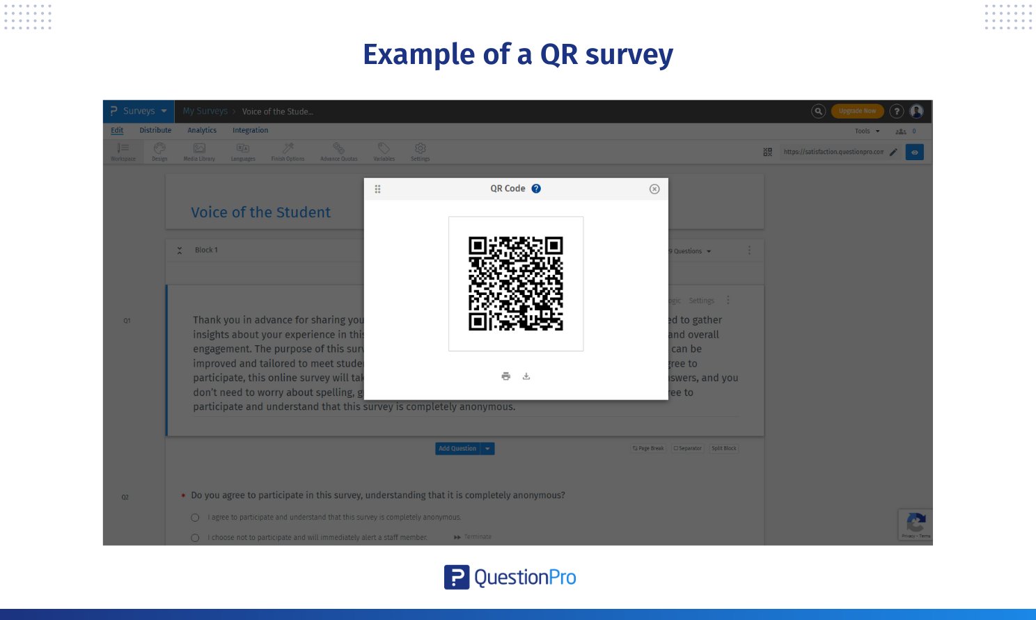 example-of-a-qr-survey